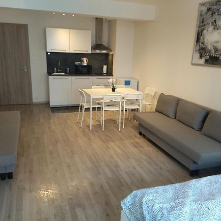 Brand New Studio Apartment #24 In Elite Residence With Free Secure Parking In The Center ปราก ภายนอก รูปภาพ
